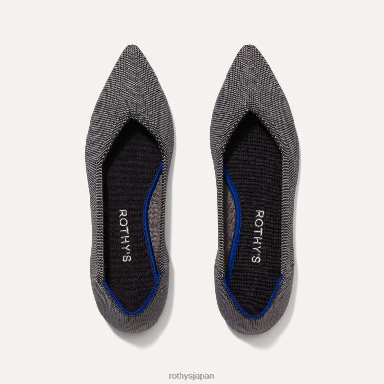 雲灰色の鳥の目